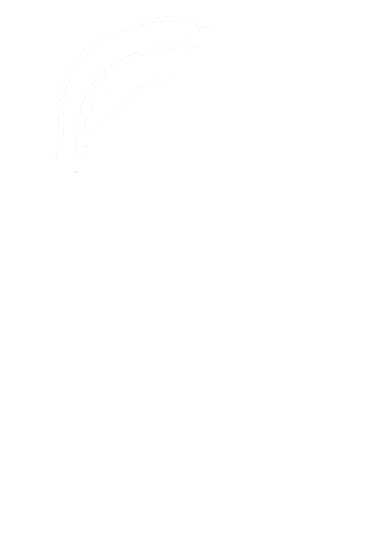 Ambre Bendali